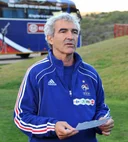 Раймон Доменек