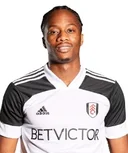 Теренс  Конголо