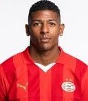 Патрік ван Анхольт