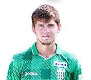 Владимир Сеница