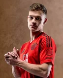 Йозуа Киммих*