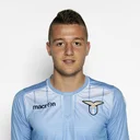 Сергей Милинкович-Савич*