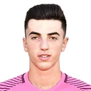 Даніель Влад