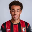 Тайлер Адамс