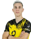 Ніко Шлоттербек