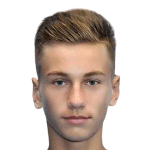 Деніс Дрегуш