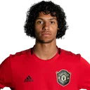 Д’Mані Меллор