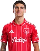 Николас Домингес