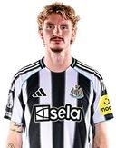 Нік Вольтемаде