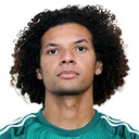 Виллиан Арао