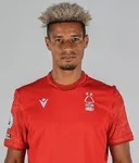 Лайл Тейлор