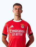 Енріке Араужу