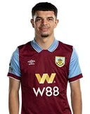 Зеки Амдуни