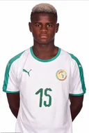 Мікаїл Файє*