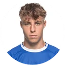 Тибе Де Влигер