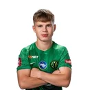 Ярослав караман