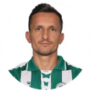 Мариус Штефэнеску