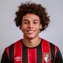 Реми Рис-Доттин