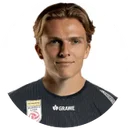 Пауль-Фрідріх Коллер