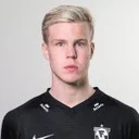 Даді Фрейр Арнарссон