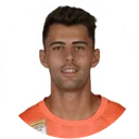 Ніклас Хедль