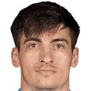 Іон Ніколаєску