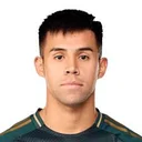 Александер Аравена