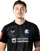 Никола Чавлина