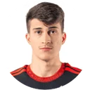 Габріель Пірані