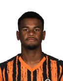 Алиссон (Шахтер)