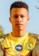 Дієго Енріке