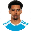 Тайгер Смоллс