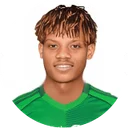 Раян Хаміду