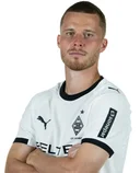 Нико Эльведи