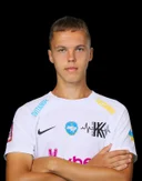 Владислав Шершень