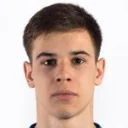 Домінік Лаанеотс