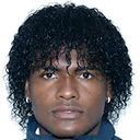 Элвис Йохан Перлаза Лара