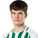 Мейнардас Мікуленас