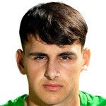 Райан Шенлі