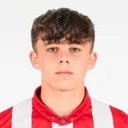 Том Воробей