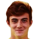 Ніколо Радаеллі