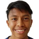 Мухаммад Раян бін Санізал