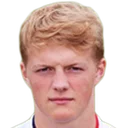 Том Гривости