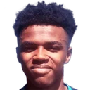 Брайс Осанна