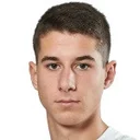 Дарио Гргич