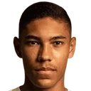 Вінісіус Балієйро Луренко де Карвальо