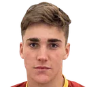 Вітторіо Альберто Агостінеллі