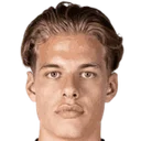 Жоэль ван дер Вилт