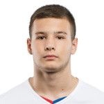 Йере Врчич