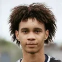 Дизель Харрингтон